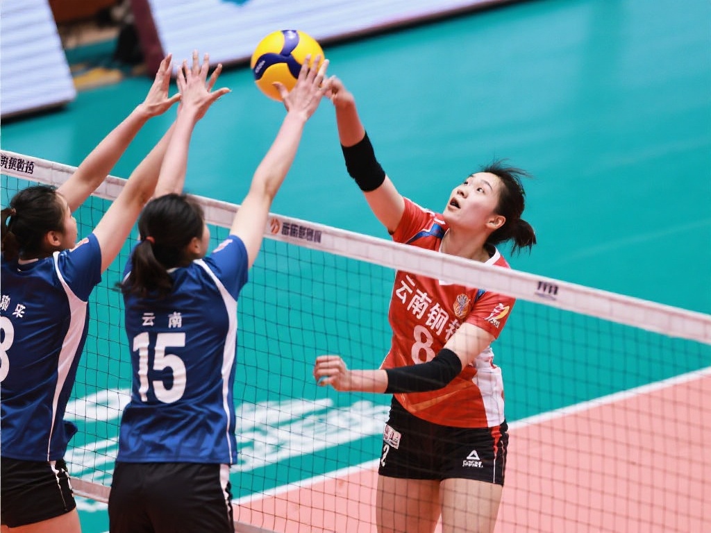 了他的市场 了他的市场